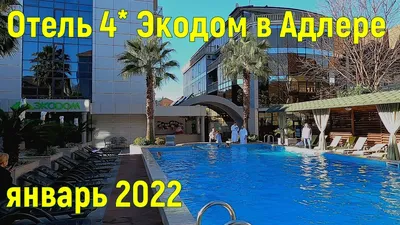 Отель Экодом, Адлер, Сочи, цены на 2023, официальный сайт туроператора  Дельфин