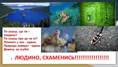 Це мапа, на якій можна позначити екологічні проблеми сходу. Тестимо її  разом – Свої.City