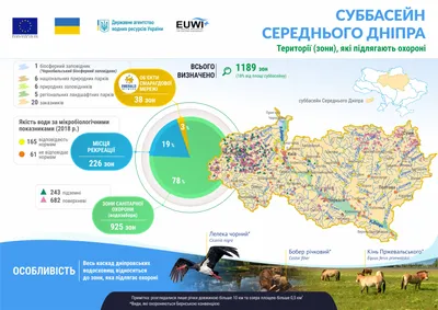 Біологія і глобальні проблеми людства | Тест з біології – «На Урок»