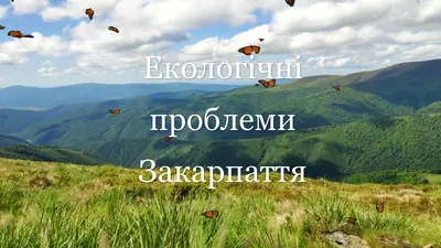 Про головні водно-екологічні проблеми найбільшого суббасейну басейну річки  Дніпро