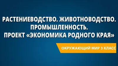 Проект по окружающему миру: \"Экономика родного края\"