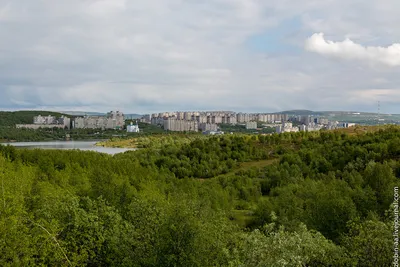 Мурманск. Печать на чеке Архангельского отделения государственного Банка.  Чек 25 рублей 1918 г. :: Знакъ