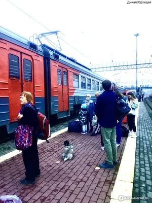 Новокузнецкая электричка до Запсиба оказалась нужной лишь нескольким  десяткам человек - Новости Новокузнецка. Кемеровская область, Кузбасс.