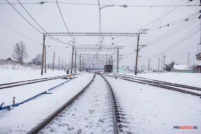 Из Омска в Новосибирск запустят первую «Ласточку»