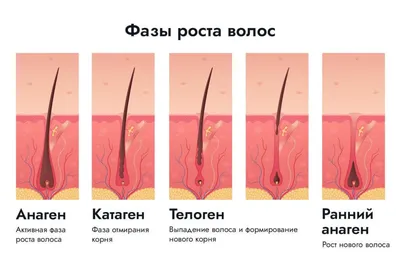 РЕАКЦИЯ КОЖИ ПОСЛЕ ЭЛЕКТРОЭПИЛЯЦИИ Нормальная реакция кожи после процедуры  ✓ ⚡️1 фото: состояние кожи на третий день после процедуры… | Instagram