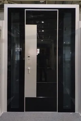 Эксклюзивные металлические двери - купить в Домодедово по цене от 24000 руб