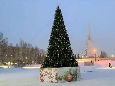 К Новому году украсили Кочуровский парк » ГТРК Вятка - новости Кирова и  Кировской области