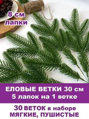 Экспозиция новогодняя ветка с ягодами…» — создано в Шедевруме