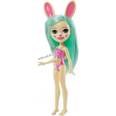 Discover the Magical Enchantimals Swim Line Dolls