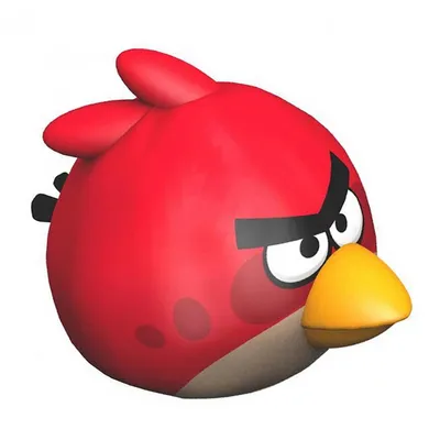 Существуют ли птицы из Angry Birds. Фотограф показал их на снимке