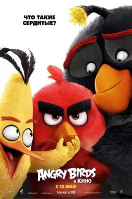 Птица из Angry Birds реально существует, и она еще более отчаянная и  бесстрашная