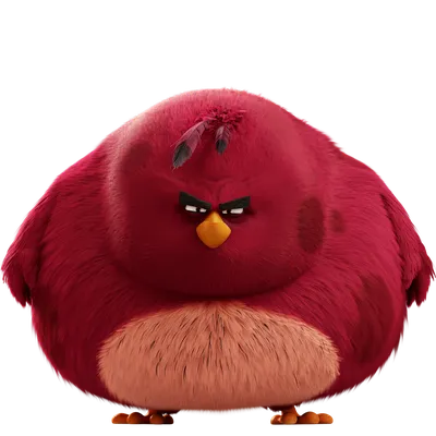 Angry Birds в кино — Википедия