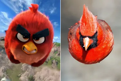 Angry Birds 2 on the App Store