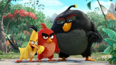 Terence | Angry Birds