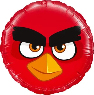 Real-life Angry Bird is at large