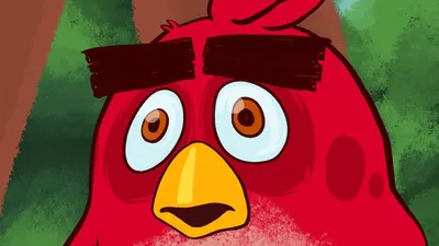 Angry Birds Toons - Season 1: Teaser - YouTube