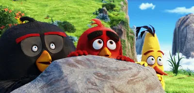 Angry Birds Toons (TV Series 2013–2018) - IMDb