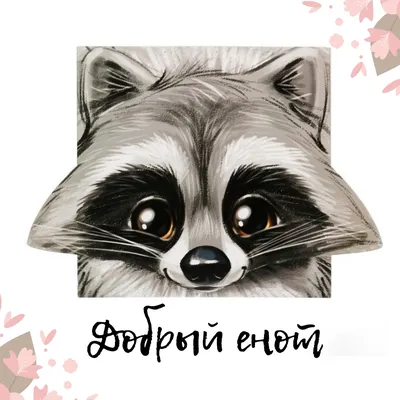 Young Wet Raccoon. Енот-полоскун. Photographer Etkind Elizabeth