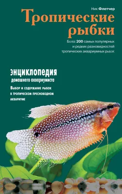 Книга Аквариумные рыбки Анжелика Ярошевич - купить, читать онлайн отзывы и  рецензии | ISBN 978-5-699-68963-7 | Эксмо