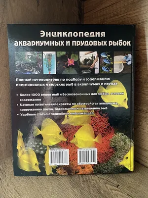 Купить аквариумных рыбок в интернет магазине по низкой цене. Как купить аквариумных  рыбок в интернет магазине? | Ачинск