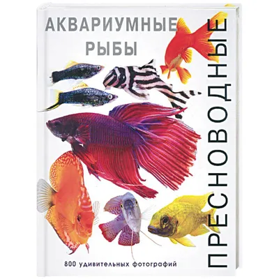 Д.Альдертон - Энциклопедия аквариумных и прудовых рыбок.DK Лот №6538743919  - купить на Crafta.ua