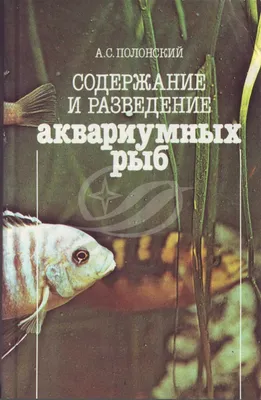 Где купить ярких аквариумных рыбок? Какие есть яркие пресноводные  аквариумные рыбки? | Таганрог