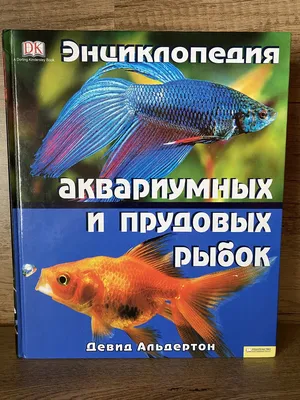 Аквариумные рыбки: фото с названиями, содержание, виды, болезни