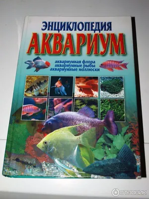 Иллюстрация 1 из 9 для Мини-энциклопедия. Аквариумные рыбки | Лабиринт -  книги. Источник: Лабиринт