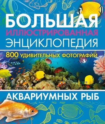 Изображение цветов на белом фоне аквариумных рыбок. Angelfish гуппис  Clownfish. Животные. Иллюстрация вектора для детей Иллюстрация вектора -  иллюстрации насчитывающей любимчики, емкость: 198322231