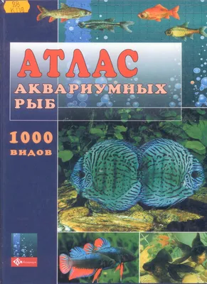 Аквариумные рыбки. Энциклопедия (Лада Александрова) - купить книгу с  доставкой в интернет-магазине «Читай-город». ISBN: 978-5-37-829676-7