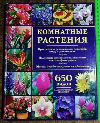 Книга Эксмо Зеленый оазис Комнатные растения от А до Я купить по цене 1644  ₽ в интернет-магазине Детский мир