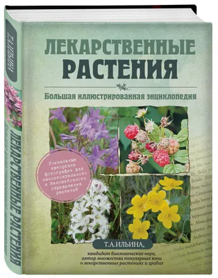 Plantorama - декоративные комнатные растения, энциклопедия, фото и уход