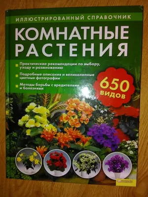 1997 Книга \"КОМНАТНЫЕ РАСТЕНИЯ\" Хельмут Янтра. 365 советов Цветы. Хобби.  Burda