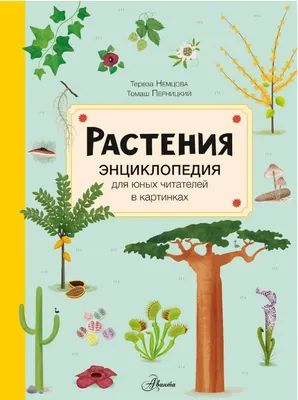 Растения : Энциклопедия для юных читателей в картинках : Немцова Тереза :  9785171479893 - Troyka Online