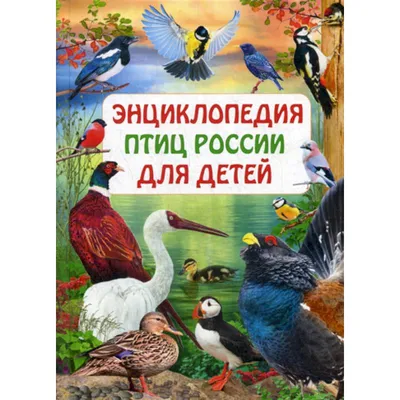 Книга Детская энциклопедия Умка «Самые красивые птицы» А4 с развивающими  заданиями - купить детской энциклопедии в интернет-магазинах, цены на  Мегамаркет | 978-5-506-04304-1