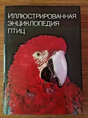 The Pictorial Encyclopedia of Birds энциклопедия птиц in Russian Jan Hanzák  | eBay