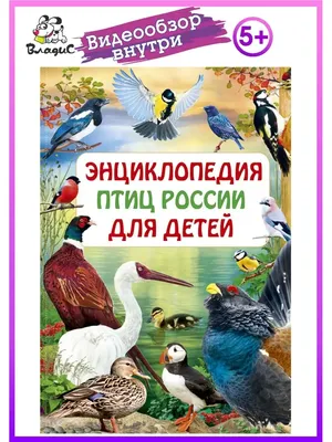 Ганзак Я. Иллюстрированная энциклопедия птиц (б/у).: продажа, цена в  Днепре. Учебная и справочная литература от \"Букитория\" - 1383186607