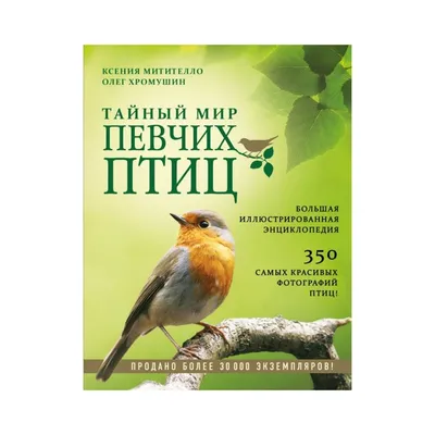 Птицы. Полная энциклопедия Юлия Школьник - купить книгу Птицы. Полная  энциклопедия в Минске — Издательство Эксмо на OZ.by