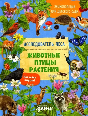 Птицы. Энциклопедия дошкольника - Vilki Books