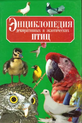 Птицы. Полная энциклопедия, цена — 1173 р., купить книгу в интернет-магазине