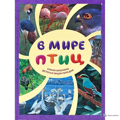 Энциклопедия для детского сада: животные птицы растения - купить с  доставкой по выгодным ценам в интернет-магазине OZON (722316010)