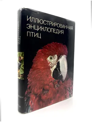 Птицы России. Большая иллюстрированная энциклопедия Александр Матанцев,  Светлана Матанцева - купить книгу Птицы России. Большая иллюстрированная  энциклопедия в Минске — Издательство Эксмо на OZ.by