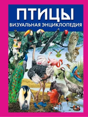 Энциклопедия декоративных и экзотических птиц | Умельцев А. П. - купить с  доставкой по выгодным ценам в интернет-магазине OZON (193434070)