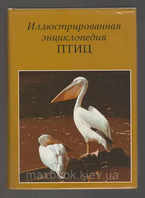 Экзотические птицы. Школьник Юлия Константиновна - «Российские учёные для  детей, энциклопедия Экзотические птицы.» | отзывы