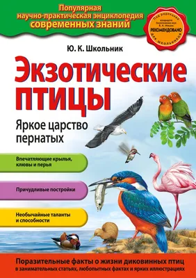 Энциклопедия детская А4 \"Хищные птицы\" купить в интернет магазине Растишка  в Тамбове