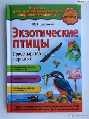 Птицы. Самая полная энциклопедия – купить книгу Птицы. Самая полная  энциклопедия | Booklya