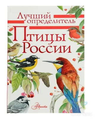 13-027-39 УМКА.(ЭНЦИКЛОПЕДИЯ А4) ХИЩНЫЕ ПТИЦЫ