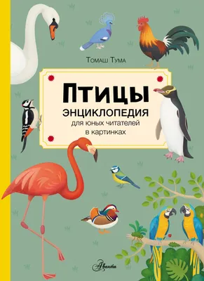 Энциклопедия «Птицы России». Мосалов А. А. - СМЛ0004595485 - оптом купить в  Уфе по недорогой цене в интернет-магазине Стартекс