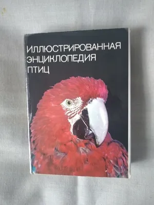 Харвест Книга большая энциклопедия для детей школьников Птицы