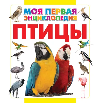 Купить Энциклопедия птиц России для детей. Ред. Феданова Ю.,Скиба Т.  (5329367) в Крыму, цены, отзывы, характеристики | Микролайн